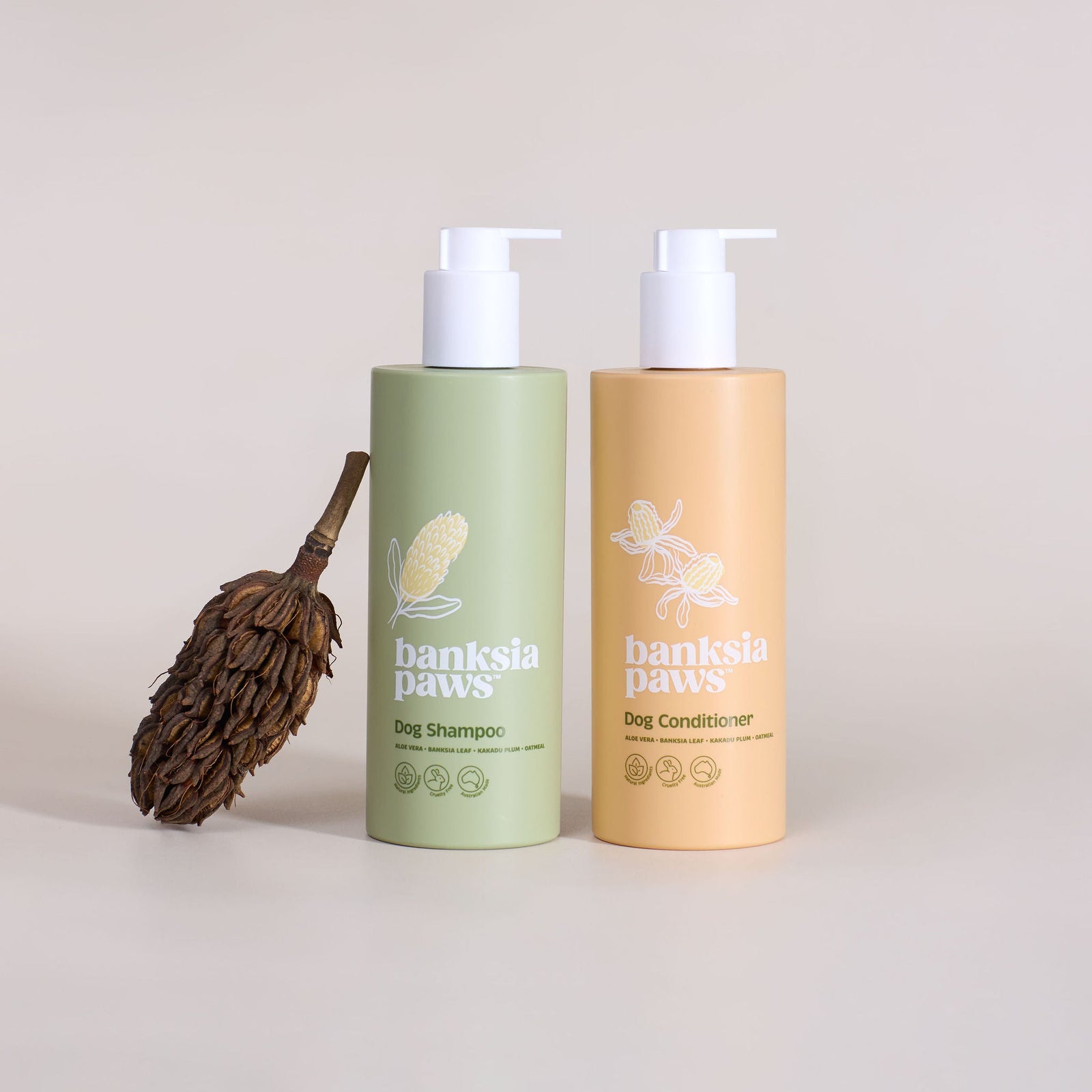 Two bottles of 'banksia paws' dog shampoo and conditioner on a beige background with a dried plant.